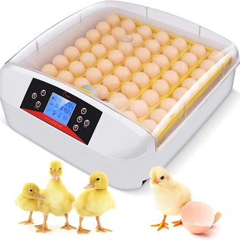 Светодиодные лампы 56 машина для инкубации яиц автоматический инкубатор для куриных и гусиных яиц для продажи Изображение